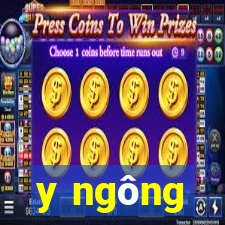 y ngông