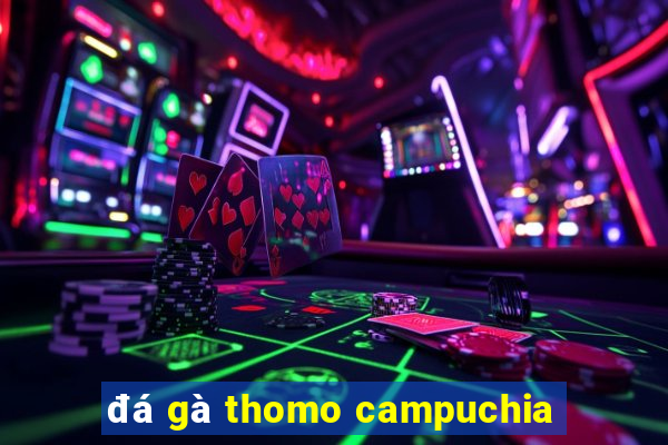 đá gà thomo campuchia