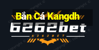 Bắn Cá Kangdh