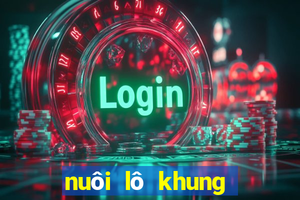 nuôi lô khung bạch thủ 3 ngày