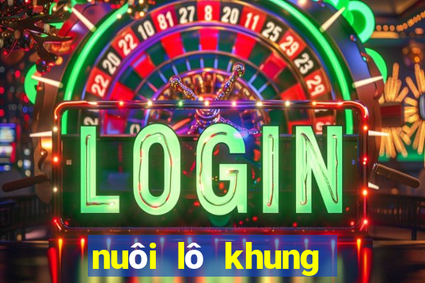 nuôi lô khung bạch thủ 3 ngày