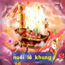 nuôi lô khung bạch thủ 3 ngày