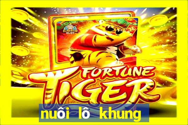 nuôi lô khung bạch thủ 3 ngày