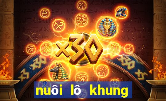 nuôi lô khung bạch thủ 3 ngày