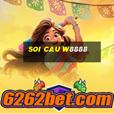 soi cau w8888