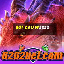 soi cau w8888