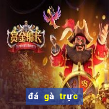 đá gà trực tiếp 2017