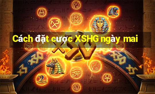 Cách đặt cược XSHG ngày mai