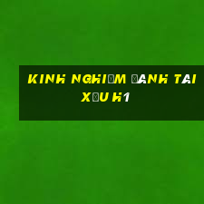 kinh nghiệm đánh tài xỉu h1