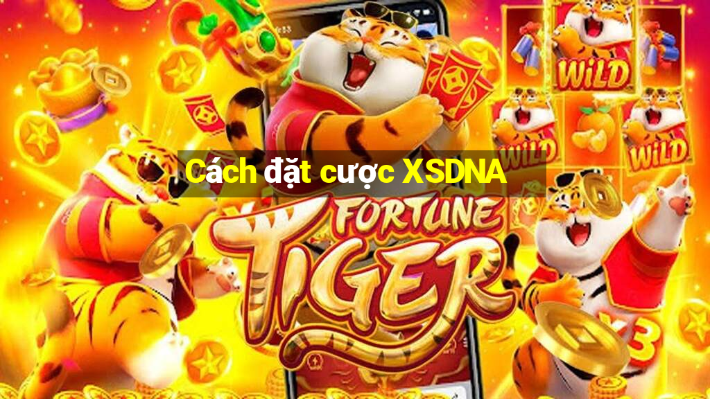 Cách đặt cược XSDNA