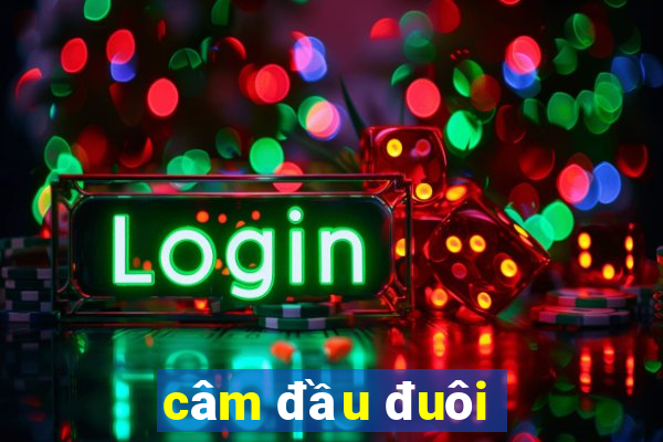 câm đầu đuôi