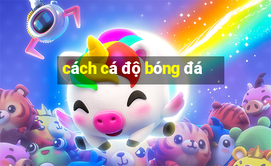 cách cá độ bóng đá