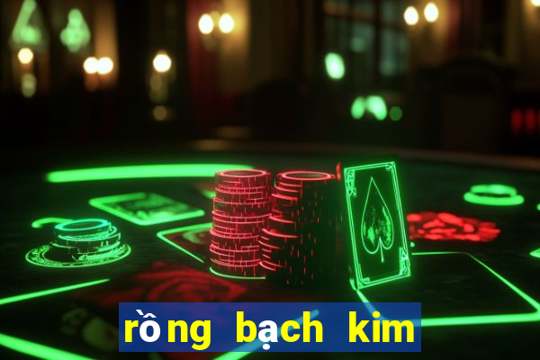 rồng bạch kim 666 hôm nay