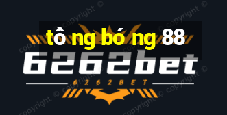 tổng bóng 88