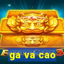 ga va cao