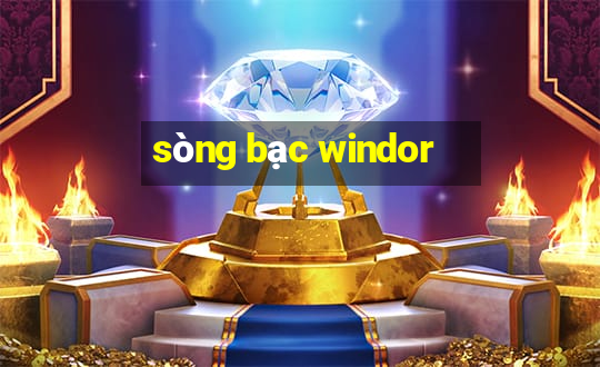 sòng bạc windor