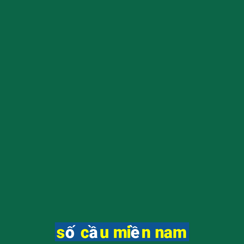 số cầu miền nam