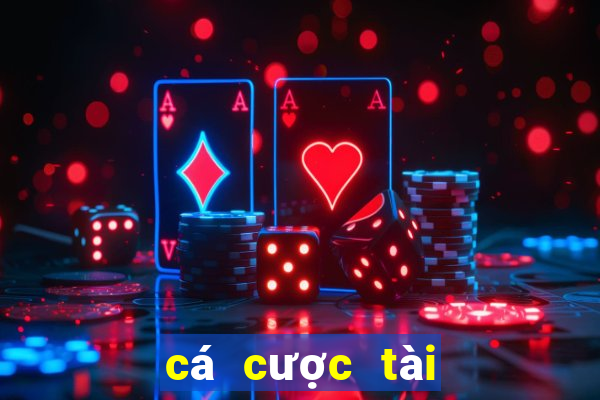 cá cược tài xỉu euro