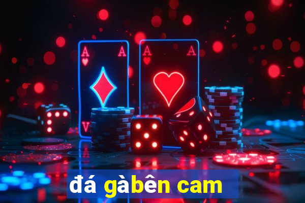 đá gà bên cam