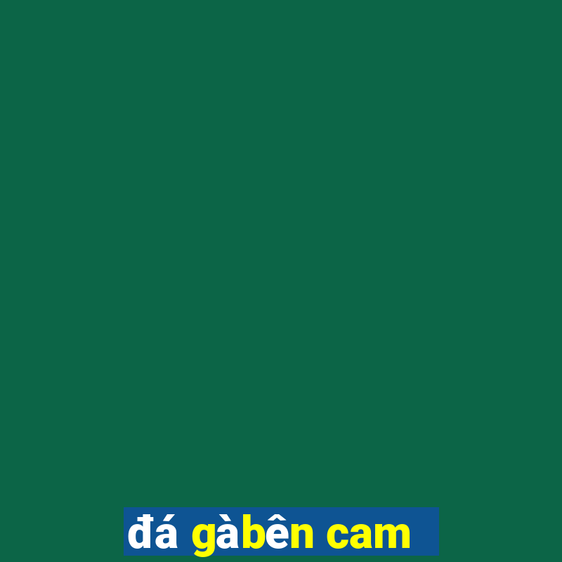 đá gà bên cam