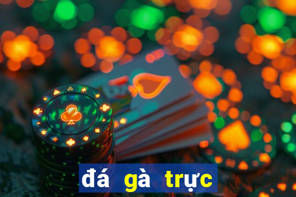 đá gà trực tiếp campuchia ngày