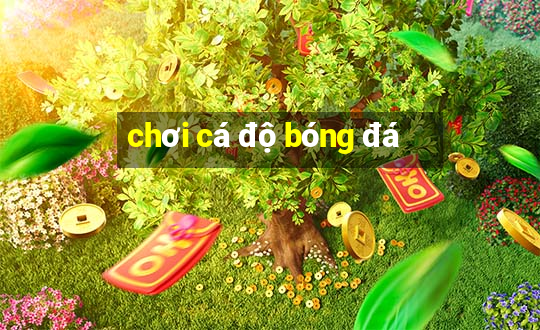 chơi cá độ bóng đá