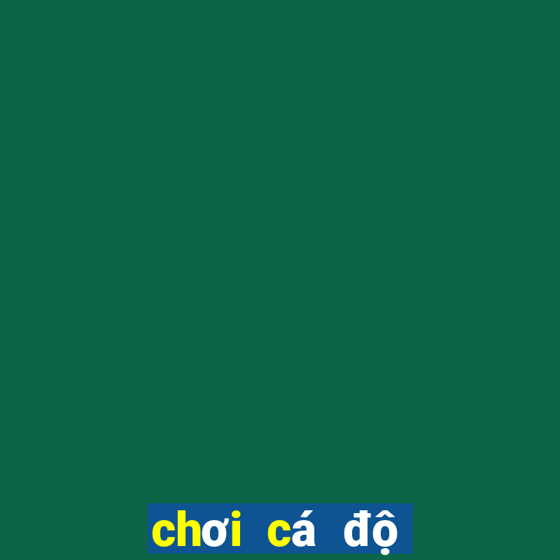 chơi cá độ bóng đá