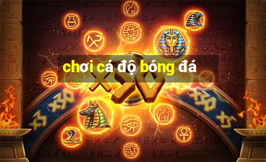 chơi cá độ bóng đá