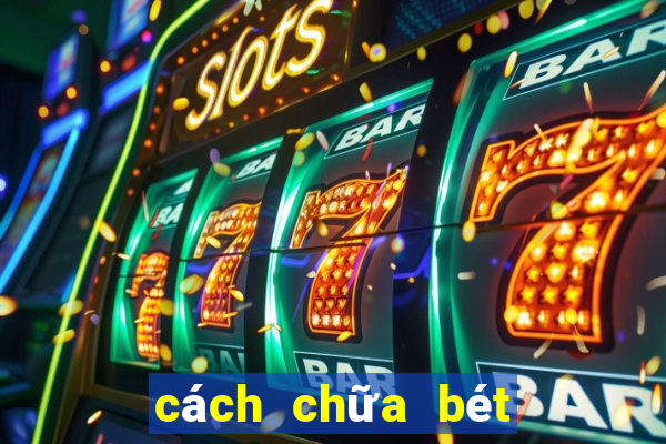 cách chữa bét cho chó