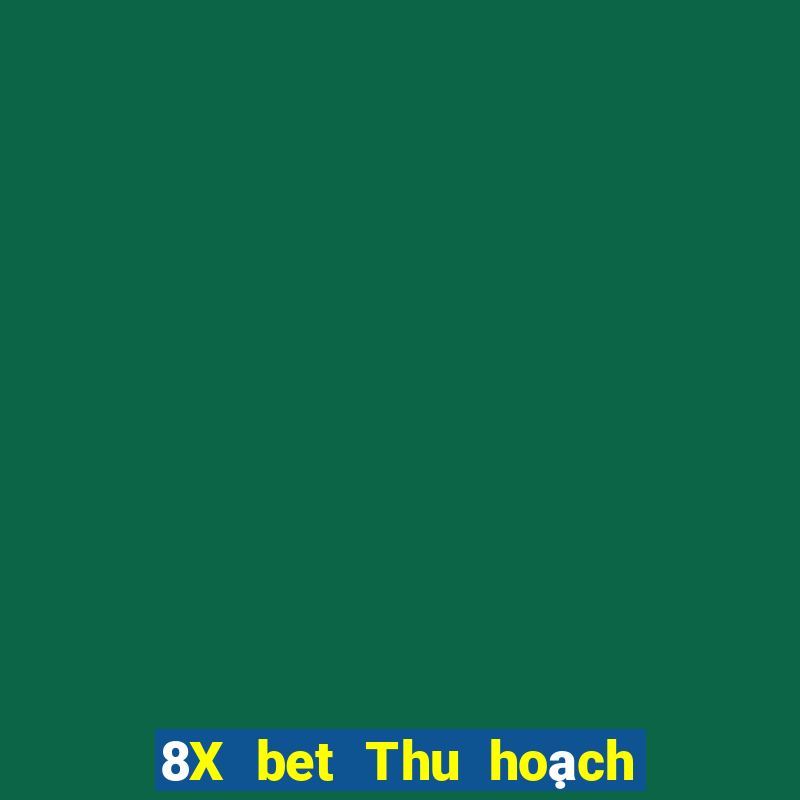 8X bet Thu hoạch lớn Apple app