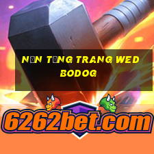 Nền tảng trang wed BoDOG