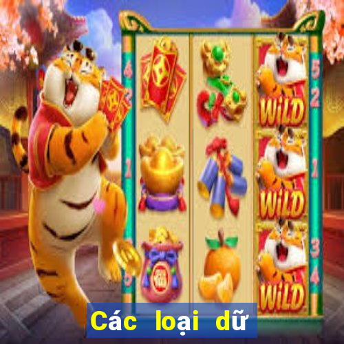 Các loại dữ liệu trong thống kê