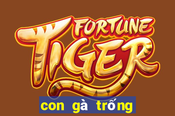 con gà trống đánh số mấy