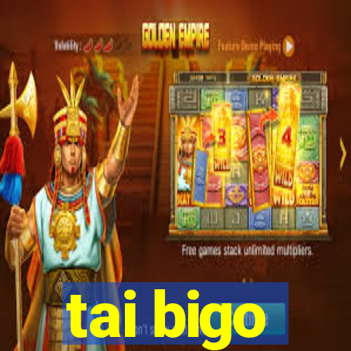 tai bigo