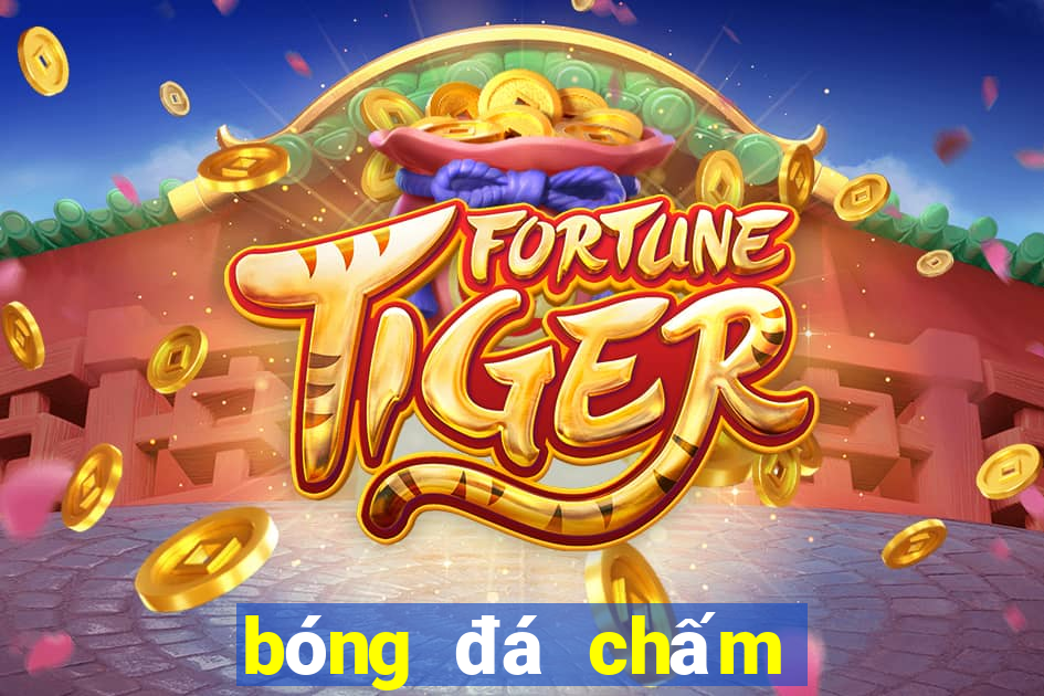 bóng đá chấm wap vn