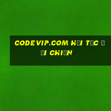 codevip.com hải tặc đại chiến