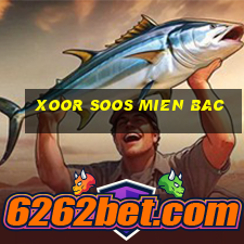 xoor soos mien bac