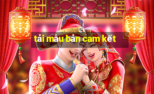 tải mẫu bản cam kết