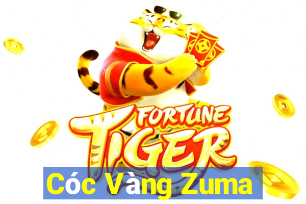 Cóc Vàng Zuma