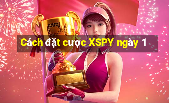 Cách đặt cược XSPY ngày 1