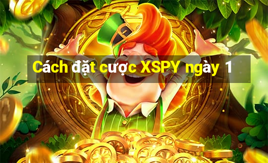 Cách đặt cược XSPY ngày 1