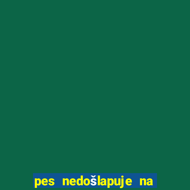 pes nedošlapuje na zadní nohu