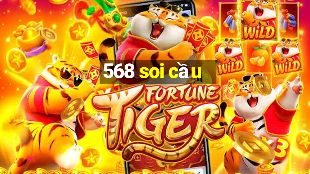 568 soi cầu