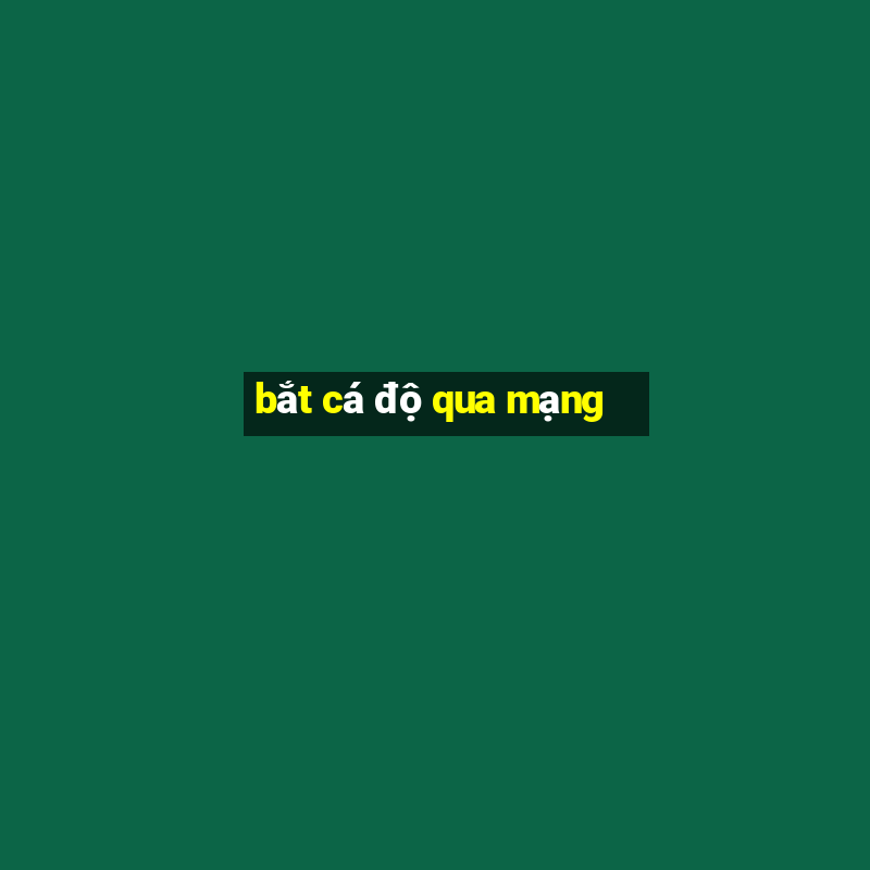 bắt cá độ qua mạng