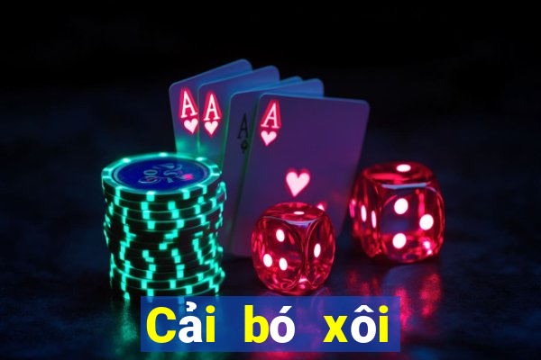 Cải bó xôi để chải