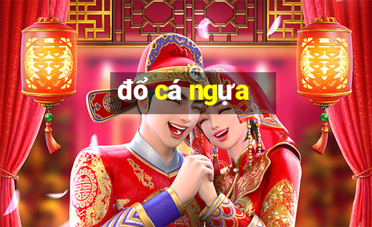 đổ cá ngựa