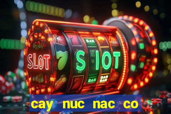 cay nuc nac co tac dung gi