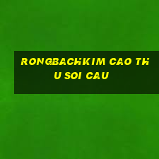 rongbachkim cao thu soi cau