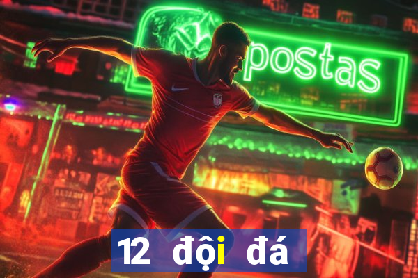 12 đội đá play off euro 2024