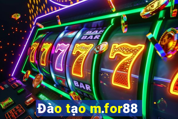 Đào tạo m.for88